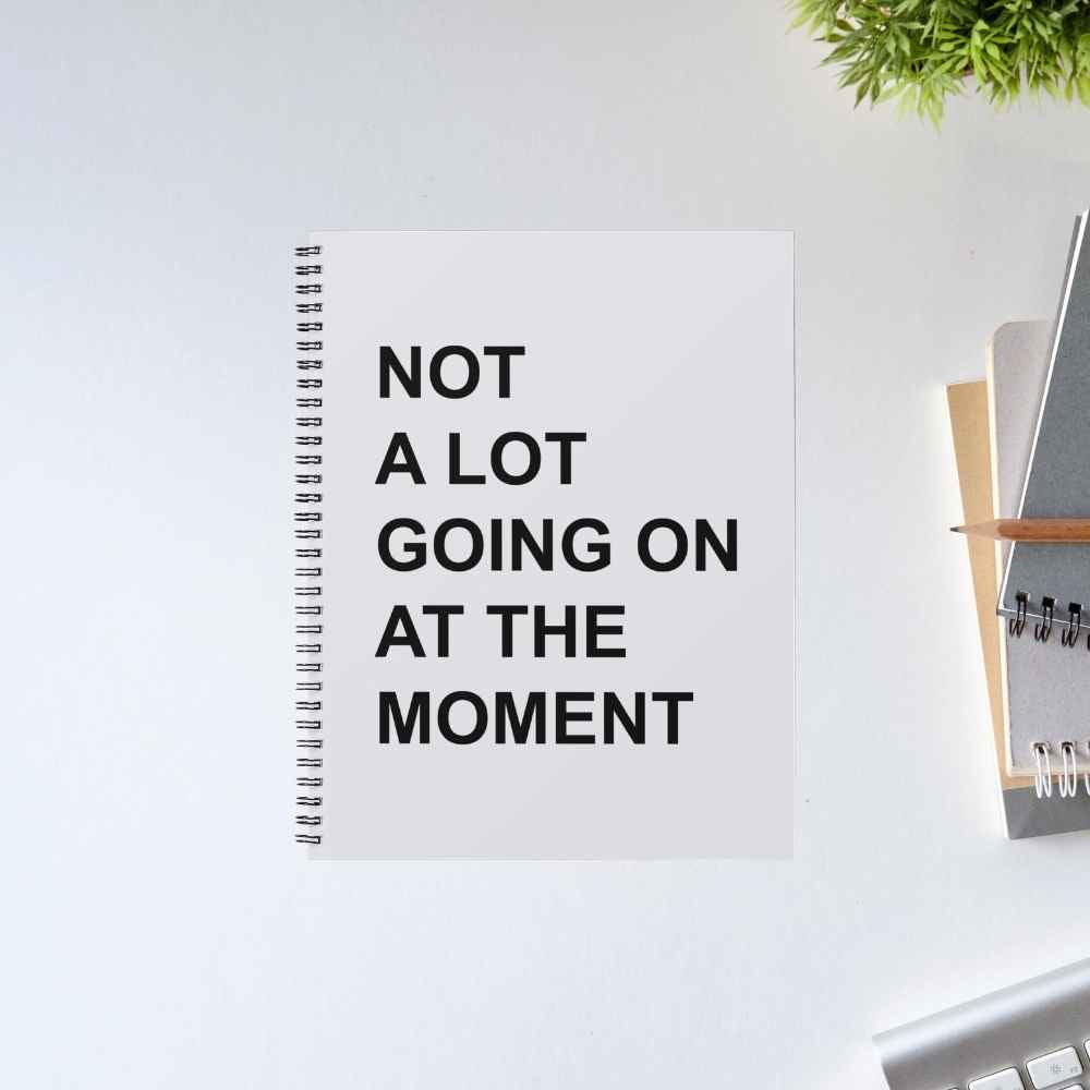 Taylor Swift Not A Lot Going On spiral notebook with bold black text 'Not a lot going on at the moment' on a light grey cover – The Banyan Tee