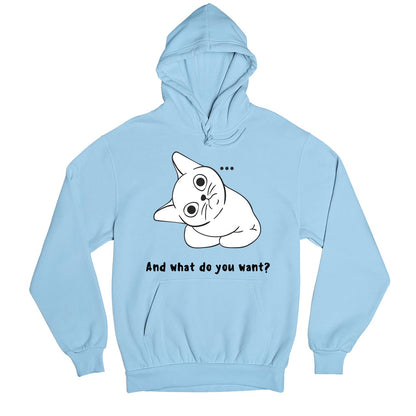 printed what do you want hoodie hooded sweatshirt winterwear printed graphic stylish buy online united states usa the banyan tee tbt men women girls boys unisex baby blue