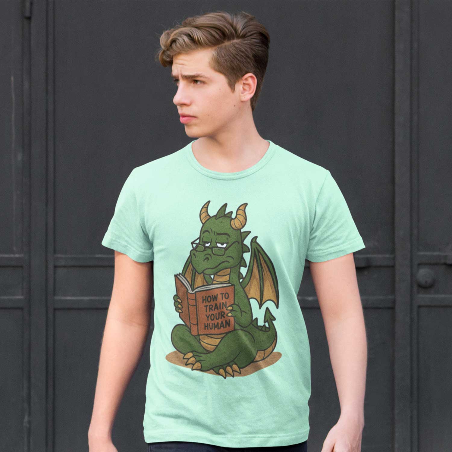 graphic how to train your human t-shirt printed graphic stylish buy online united states usa the banyan tee tbt men women girls boys unisex jade 