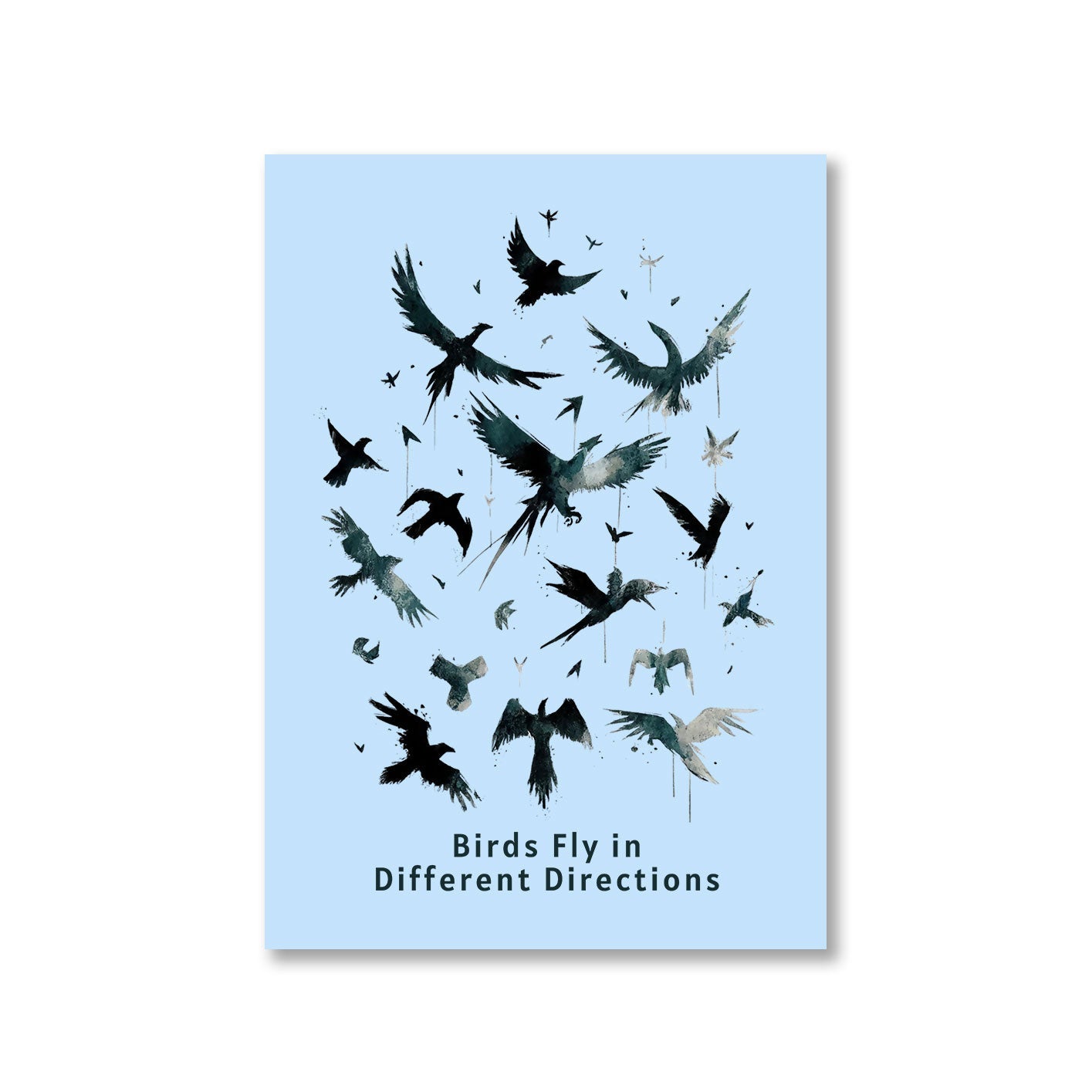 imagine dragons birds fly in different directions poster wall art buy online united states of america usa the banyan tee tbt a4 