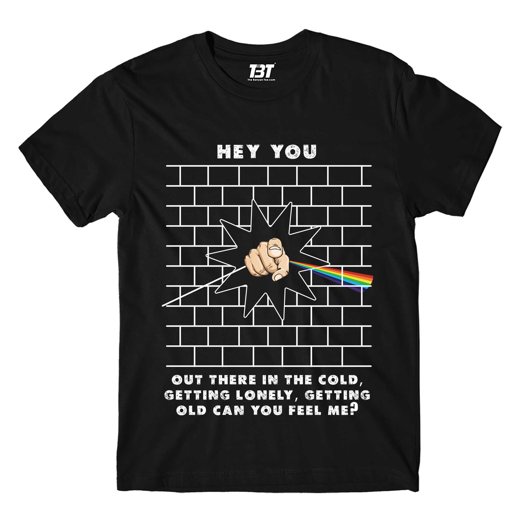 Hey You Pink Floyd T-shirt The Banyan Tee TBT sports mens united states of america usa full meesho women boys flipkart