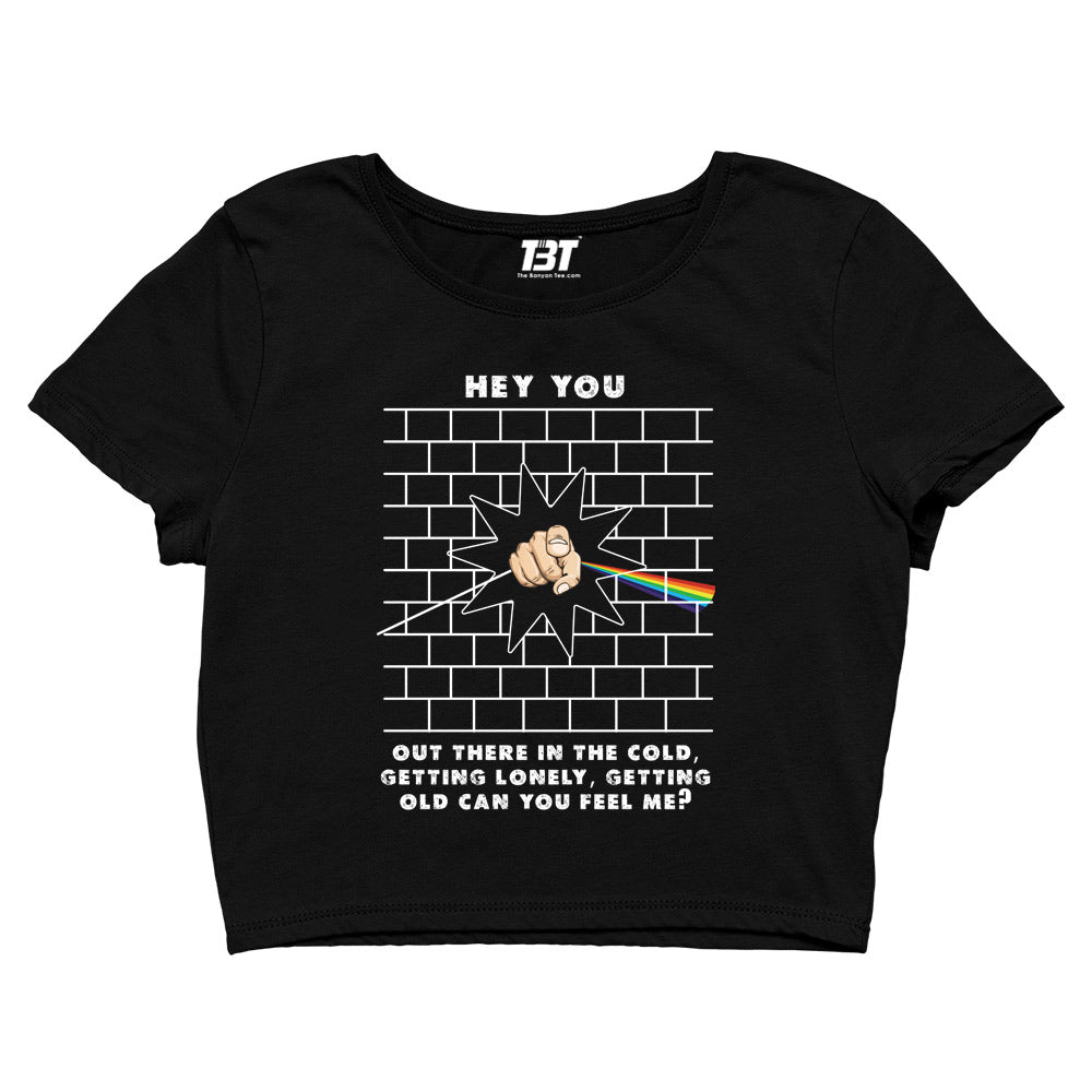 Hey You Pink Floyd Crop Top The Banyan Tee TBT sports mens united states of america usa full meesho women boys flipkart