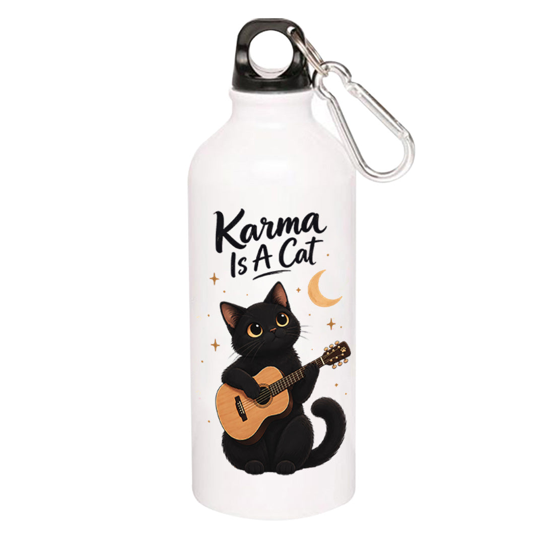 taylor swift karma cat sipper steel water bottle flask gym shaker music band buy online india the banyan tee tbt men women girls boys unisex  