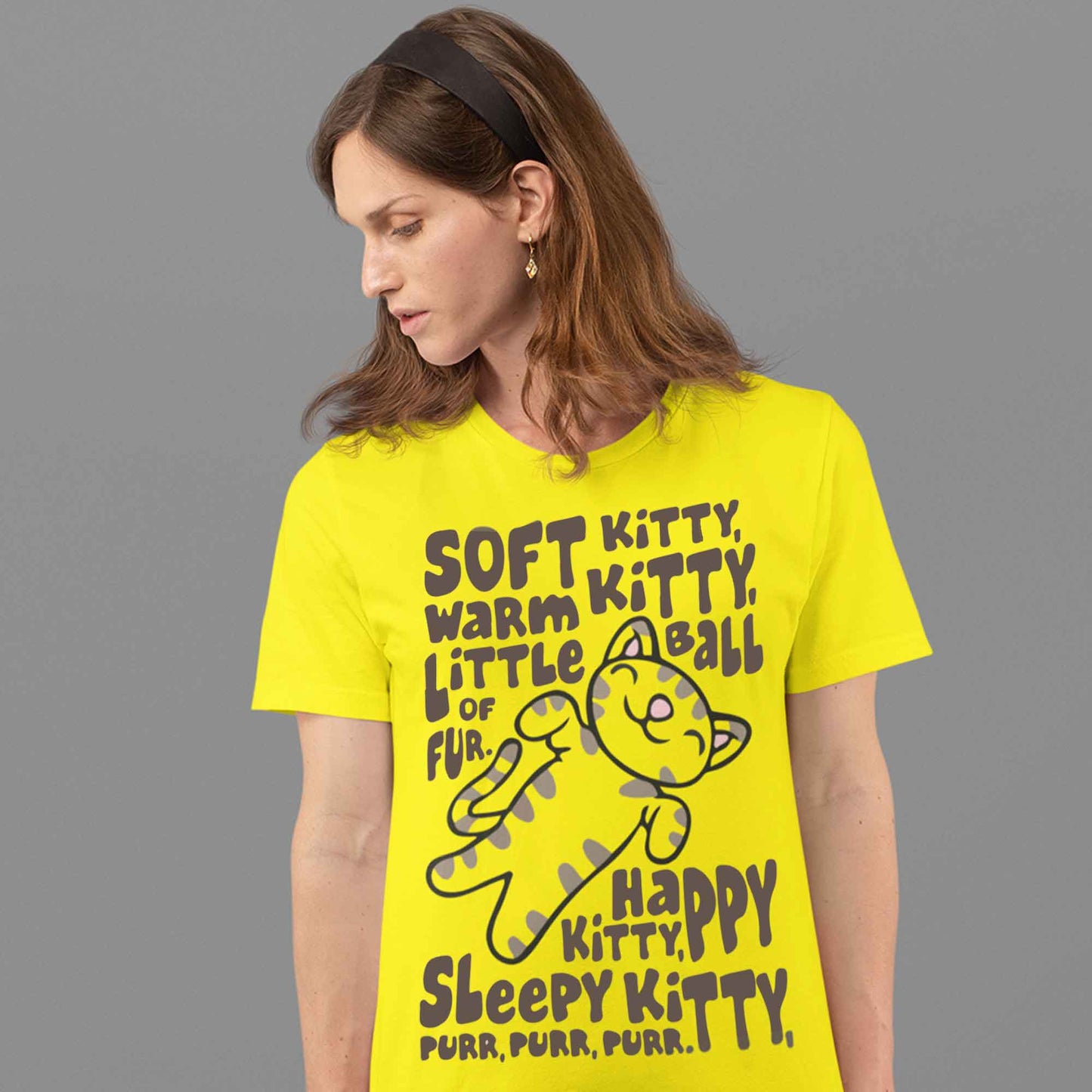 The Big Bang Theory T-shirt soft kitty