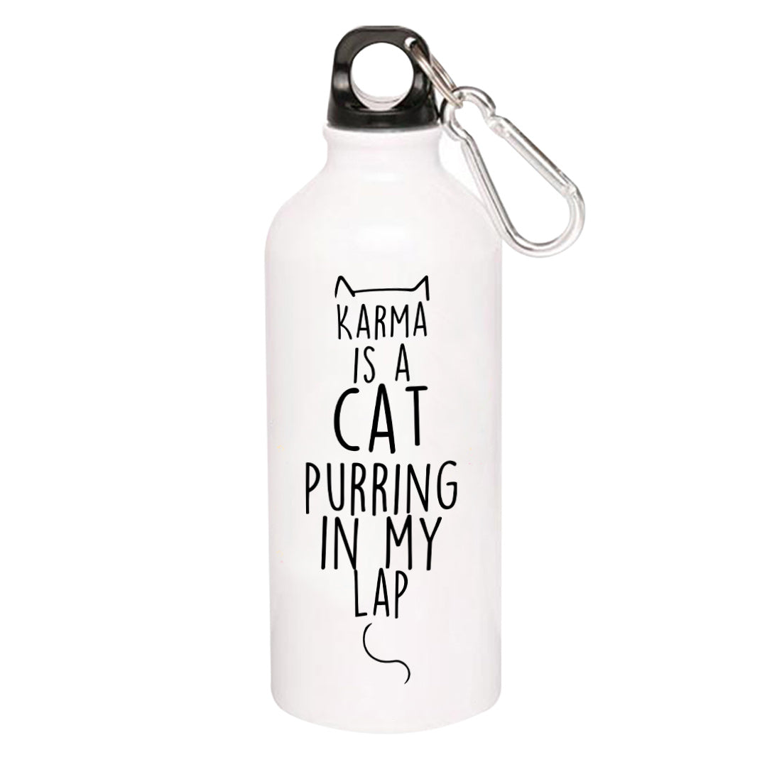 taylor swift karma sipper steel water bottle flask gym shaker music band buy online india the banyan tee tbt men women girls boys unisex