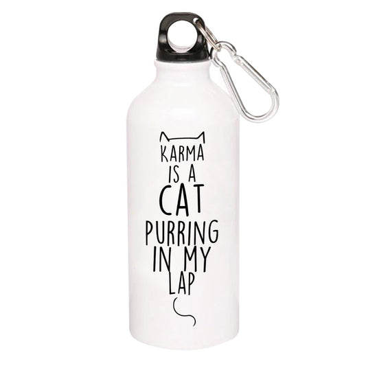 taylor swift karma sipper steel water bottle flask gym shaker music band buy online india the banyan tee tbt men women girls boys unisex